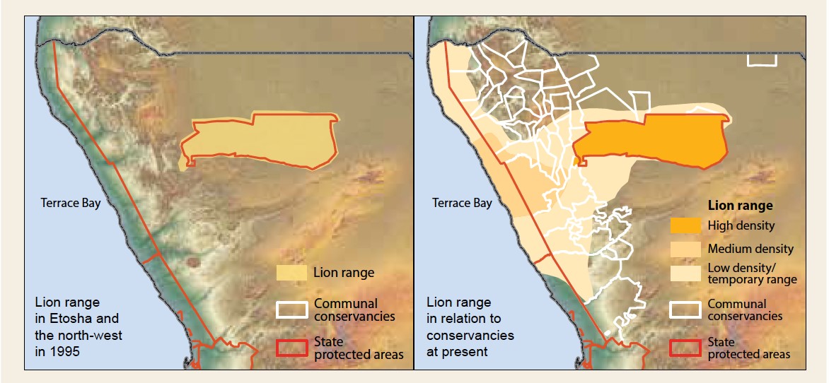  Lion range expansion