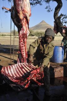 Meat harvested from wildlife is a very important benefit to conservancy residents