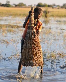 Traditional fishing using baskets in the flood season