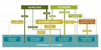 Benefit flows in conservancies. A schematic diagram showing income flows from tourism and conservation hunting to communities.